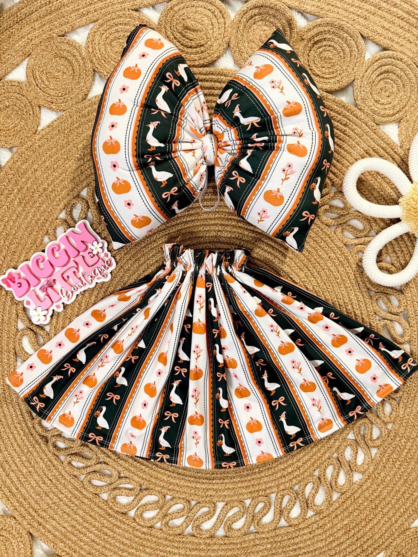 Mystery Goose dress & Huge Puffy Bow